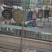 قفسه|فروشگاه و مغازه|اردبیل, |دیوار