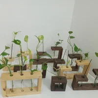 گل گلدون دیواری رو میزی دکوری تزئینی مینیاتوری|گل و گیاه طبیعی|سبزوار, گلشن|دیوار