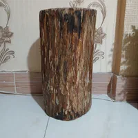 تنه درخت|گل و گیاه طبیعی|مشهد, ارمغان|دیوار