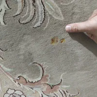 ۱ تخته فرش ۱۲ متری|فرش|بابلسر, |دیوار