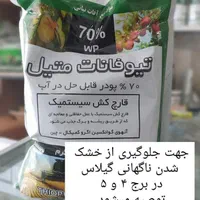 طراحی باغ و ویلا ،ساخت باغچه‌و نگهداری درختان|خدمات باغبانی و درختکاری|مشهد, جاهد شهر|دیوار