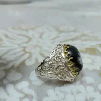 شجر شکوفه فوق العاده زیبا