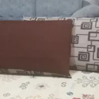 پشتی در حدنو|پشتی|کرج, ساماندهی|دیوار