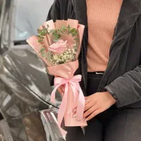 تک شاخه|گل و گیاه طبیعی|مشهد, هفت تیر (حافظ)|دیوار