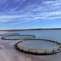 قفس پرورش ماهی