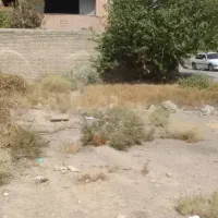 زمین 72تن شهید 34