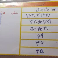 تابلو فرش  ناتمام  با دار  مستحکم|تابلو فرش|مشهد, احمدآباد|دیوار