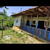 زمین ۳۳۰ متری با خانه کلنگی پروانه دار روستایی