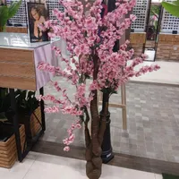 درختچه گل ژاپنی صورتی