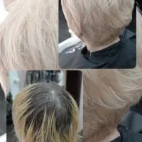 نیازمند مدل رنگ و مش و احیا و صافی کار توسط استاد