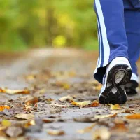 راهنمایی بدین