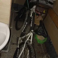 دوچرخه دو عدد|دوچرخه، اسکیت، اسکوتر|ایذه, |دیوار