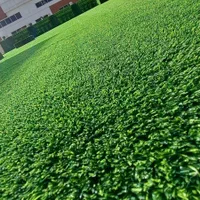 پاییزه و بهاره انواع چمن مصنوعی دیوار سبز فنس چمنی