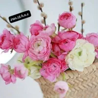 راهنمایی میخوام