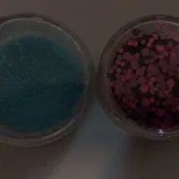 فروش شوگو و شیمر