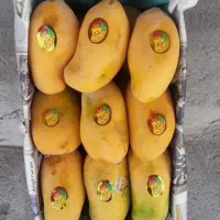 شریک و سرمایه برای بساط میوه