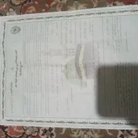 فروش فوری حج تمتع