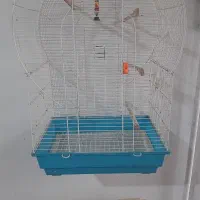 قفس طوطی عروس|لوازم جانبی حیوانات|رشت, اسماعیل آباد|دیوار