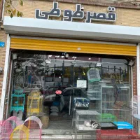 وسایل جانبی حیوانات|لوازم جانبی حیوانات|تبریز, |دیوار