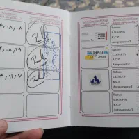 سگ ژرمن ورکلاین|سگ|قزوین, |دیوار