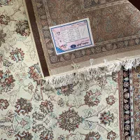 فرش ۱۲ متری|فرش|سقز, |دیوار