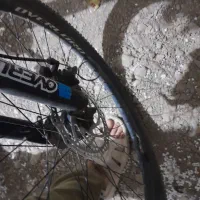 دوچرخه اولوردر فروش فوری|دوچرخه، اسکیت، اسکوتر|بردسکن, |دیوار