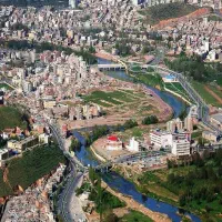 سرمایه گذار و شریک برای مغازه معتبر