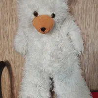 عروسک بزرگ خرسی|اسباب‌بازی بچه|مسجد سلیمان, |دیوار