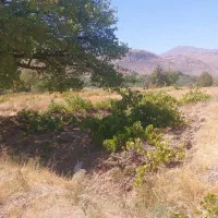 فروش یا معاوضه زمین ۱۰۰۰ متری بین فر و توره