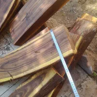 چوب|خدمات باغبانی و درختکاری|کاکی, |دیوار