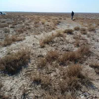 شهرک بعثت|فروش زمین و ملک کلنگی|صوفیان, |دیوار