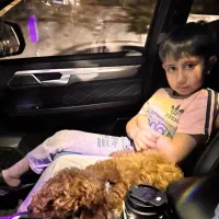 پودل نر ۳۹ میلیون