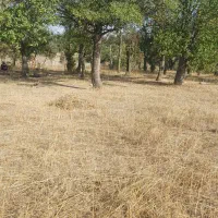 باغ محدوده روستای باروق|فروش دفتر صنعتی، کشاورزی، تجاری|اردبیل, |دیوار