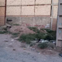 زمین چهار دیواری سند تکبرگ