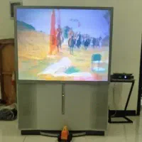 تلویزیون
