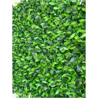 فروش فنس برگی و فنس چمنی|خدمات پیشه و مهارت|آمل, |دیوار