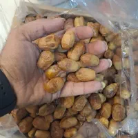 حراج خرما زاهدی و خاصویی۱