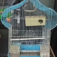 دو عدد قفس|لوازم جانبی حیوانات|رشت, پیرکلاچای|دیوار