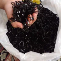 3 کیلو کش نارسی عالی به علت تغییرشغل