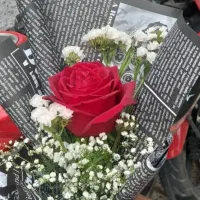 راهنمایی کنسرت استانبول