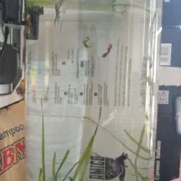 آکواریوم با ماهی|ماهی|شیراز, ریاستی|دیوار