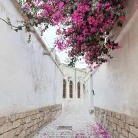بوشهر گردی، تور با گردشگری گلساتور (تور لیدر رسمی)