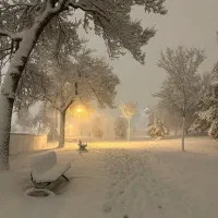 رهن-و-اجاره