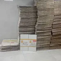 کارتن تخم مرغ سالم