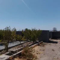 باغچه و باغ خوش آب و هوا/ منطقه امن /قابل ساخت|فروش زمین و ملک کلنگی|تهران, نازیآباد|دیوار