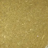گندم تمیز