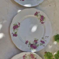 ۳ عدد بشقاب گل سرخی