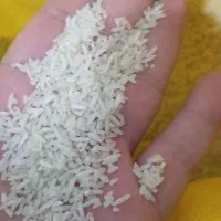 برنج سرلاشه شمال عطری