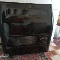 بخاری ادنیس درحدنو