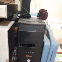 کیس و مانیتور و گیتار